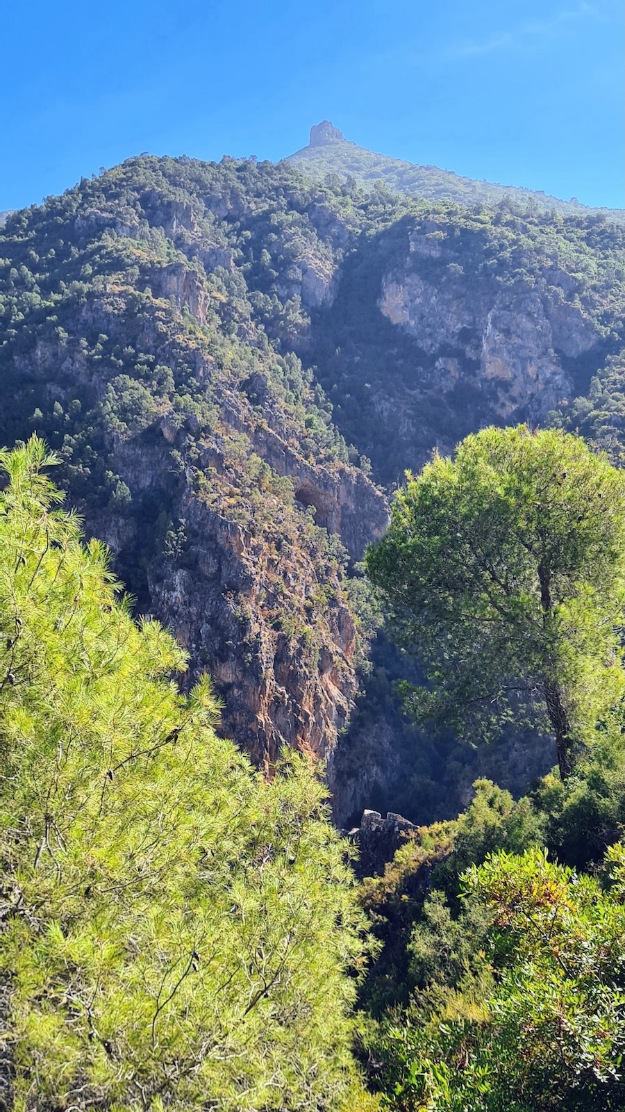 Unsere praechtige Riad